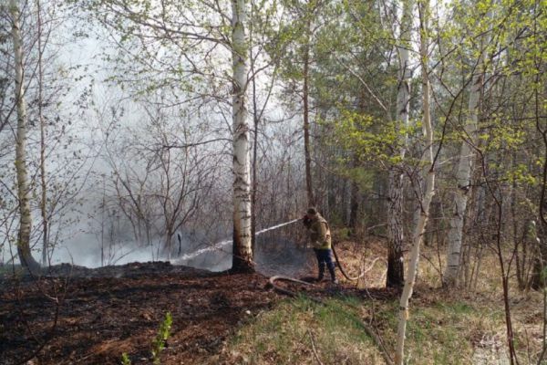 В Свердловской области за сутки потушили 15 лесных пожаров