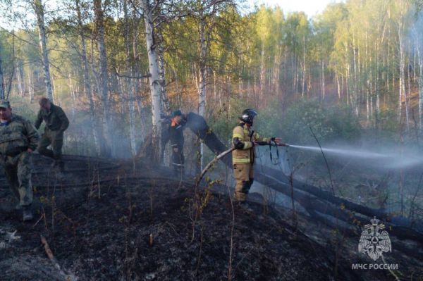 В Свердловской области вновь горят леса