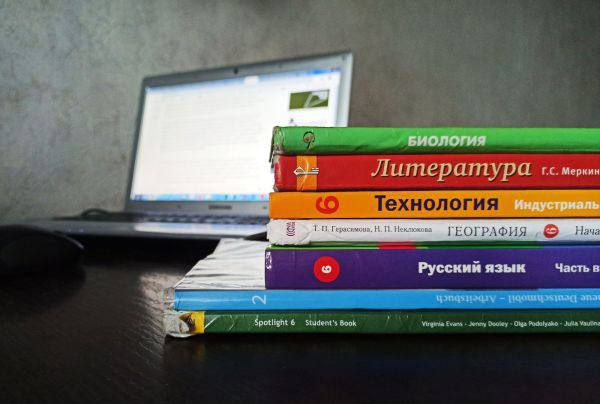«Не только отдых». Более половины родителей на Урале нанимают детям репетиторов на лето