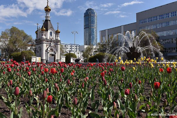 Кохия, агератум, бальзамин: Екатеринбург украсят устойчивыми к холодам цветами