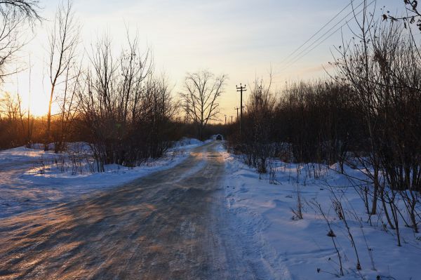 В Екатеринбурге спасатели нашли 9-летнего мальчика, заблудившегося в лесу