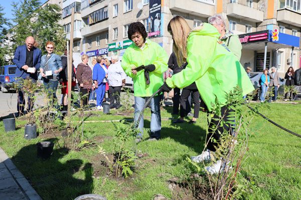 В Нижнем Тагиле заложили аллею Тотального диктанта