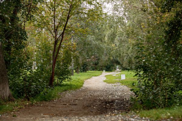 Благоустройство сквера на улице Амундсена в Екатеринбурге завершат в следующем году