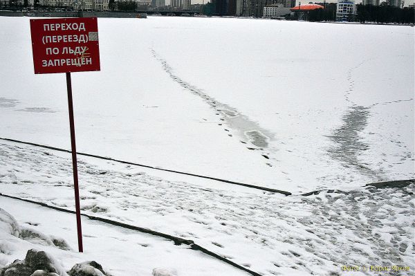 На городском пруду екатеринбурженка провалилась под лед вместе с собакой