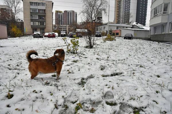 В Екатеринбурге потеплеет и пройдет мокрый снег с дождем