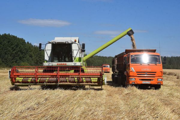 Дорог каждый погожий день. Уборочная кампания на Среднем Урале набирает обороты