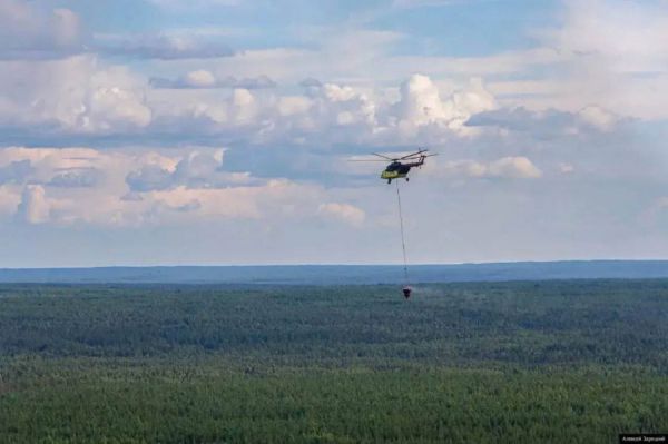 На защиту уральских лесов от пожаров предусмотрено 720 млн рублей