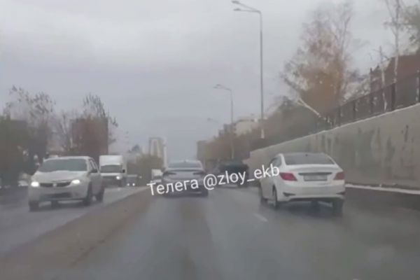 В Екатеринбурге на улице Московской дерево упало на движущийся автомобиль