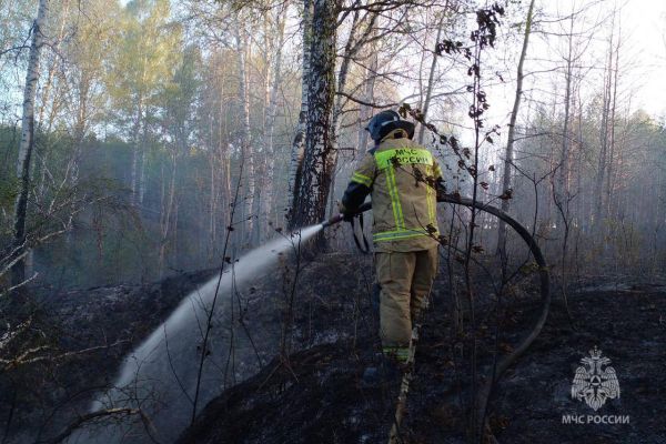 В Свердловской области поймали поджигателя, устроившего пожар под Нижними Сергами