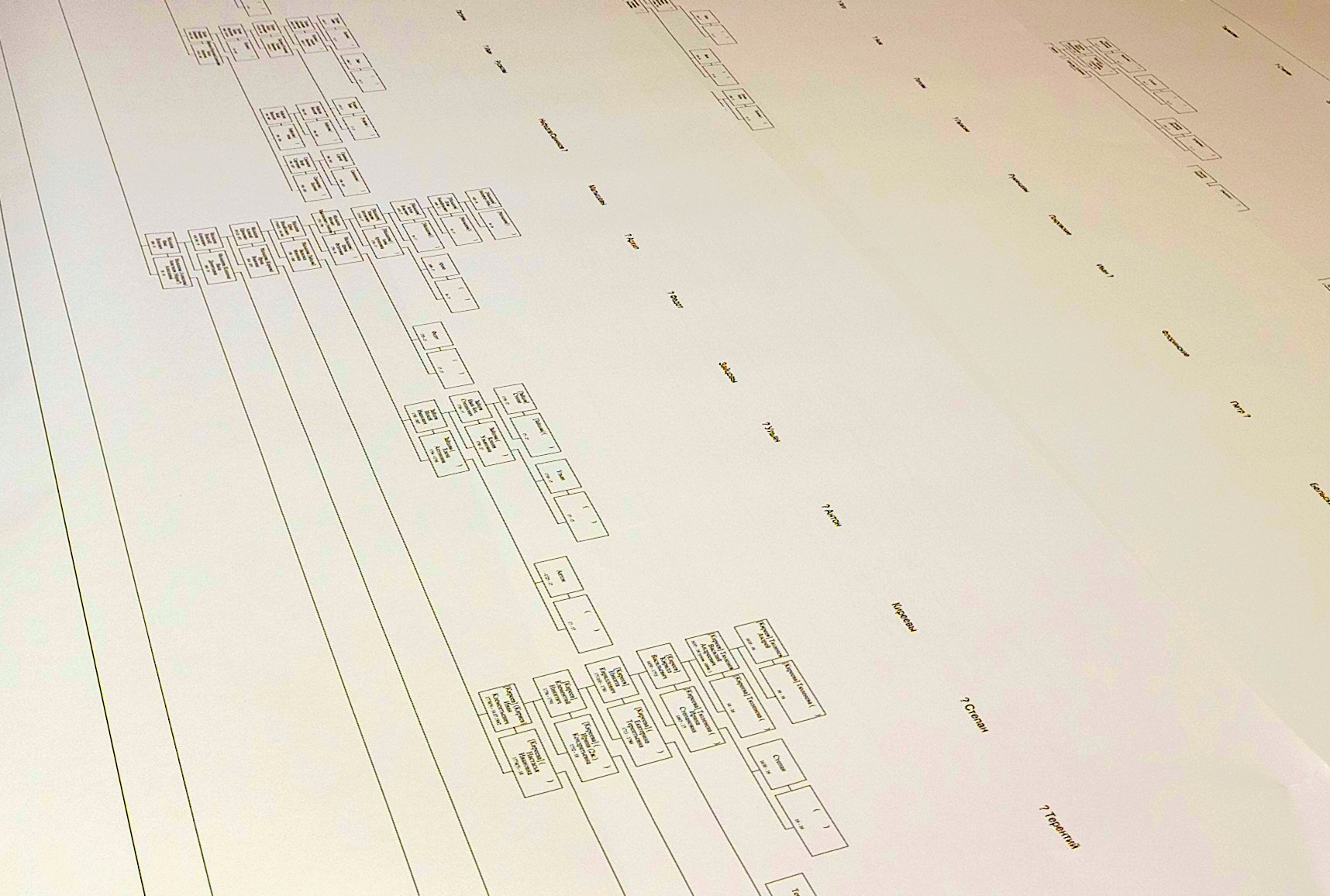 Небольшой фрагмент из огромного генеалогического древа, которое составил неравнодушный к своему прошлому уралец